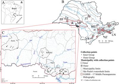 Distribution of genetic diversity of neotropical Biomphalaria (Preston 1910) (Basommatophora: Planorbidae) intermediate hosts for schistosomiasis in Southeast Brazil